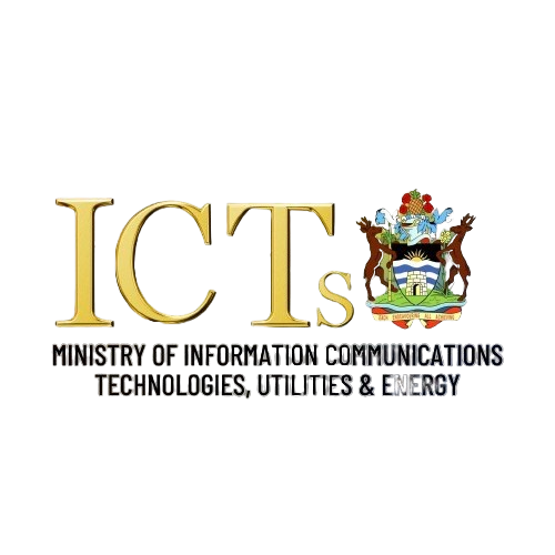 Government ICT